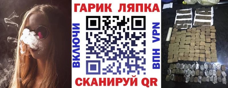 где купить наркотик  ОМГ ОМГ онион  ГАШ индика сатива  Зверево 