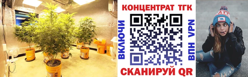 ТГК Wax Зверево