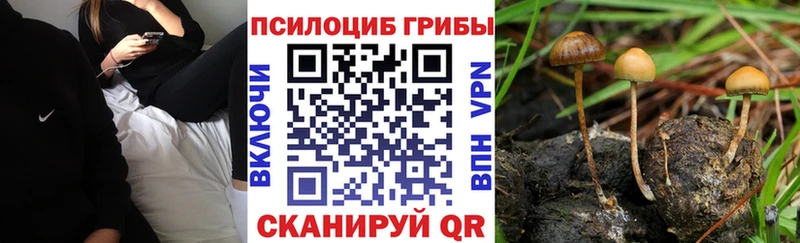 Псилоцибиновые грибы MAGIC MUSHROOMS Зверево