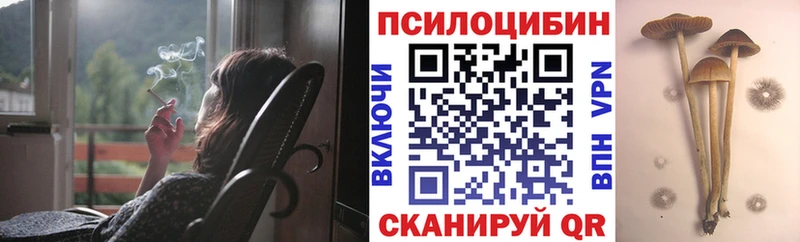 купить   Зверево  Галлюциногенные грибы мухоморы 